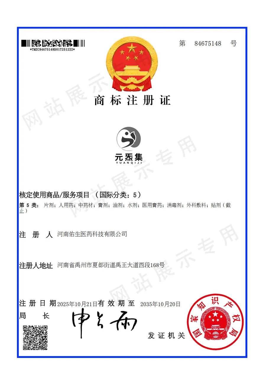 元炁集